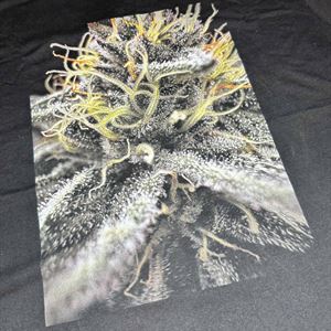 Intense Cannabis Bloom Close-Up T-Shirt