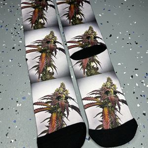 Dream Factory Socks