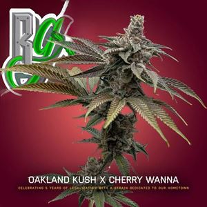 Oakland Kush X CherryWanna