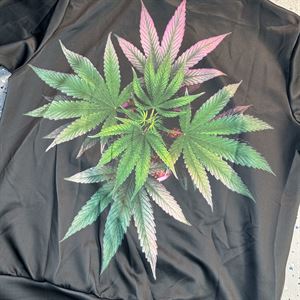 Simplicity Cannabis Hoodie