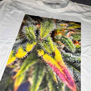 Neon Trichrome Cannabis Bud T-Shirt