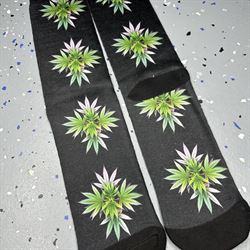 Diamond Dreams Photo Socks