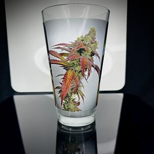 Trilogy Cannabis Pint Glass