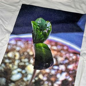 Seedling Splendor Cannabis Photo T-Shirt