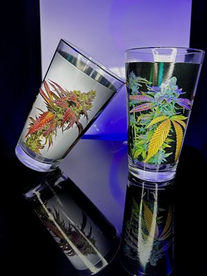 Trilogy Cannabis Pint Glass