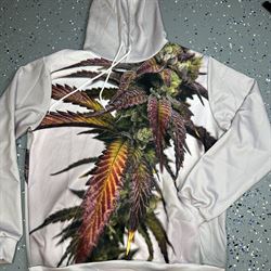 Dream Factory Cannabis Hoodie