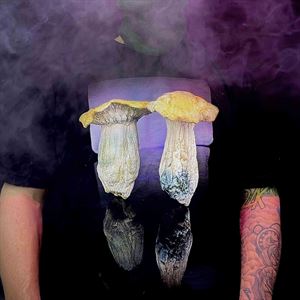 Mystical Shroomz Photo T-Shirt