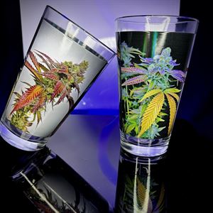 Trilogy Cannabis Pint Glass