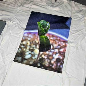 Seedling Splendor Cannabis Photo T-Shirt