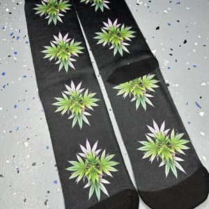 Diamond Dreams Photo Socks