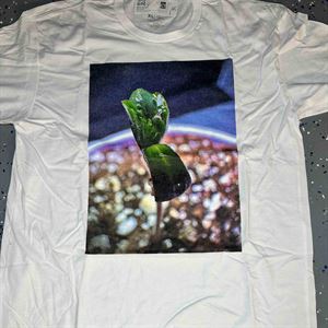 Seedling Splendor Cannabis Photo T-Shirt