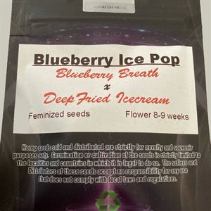 Blueberry Ice Pop