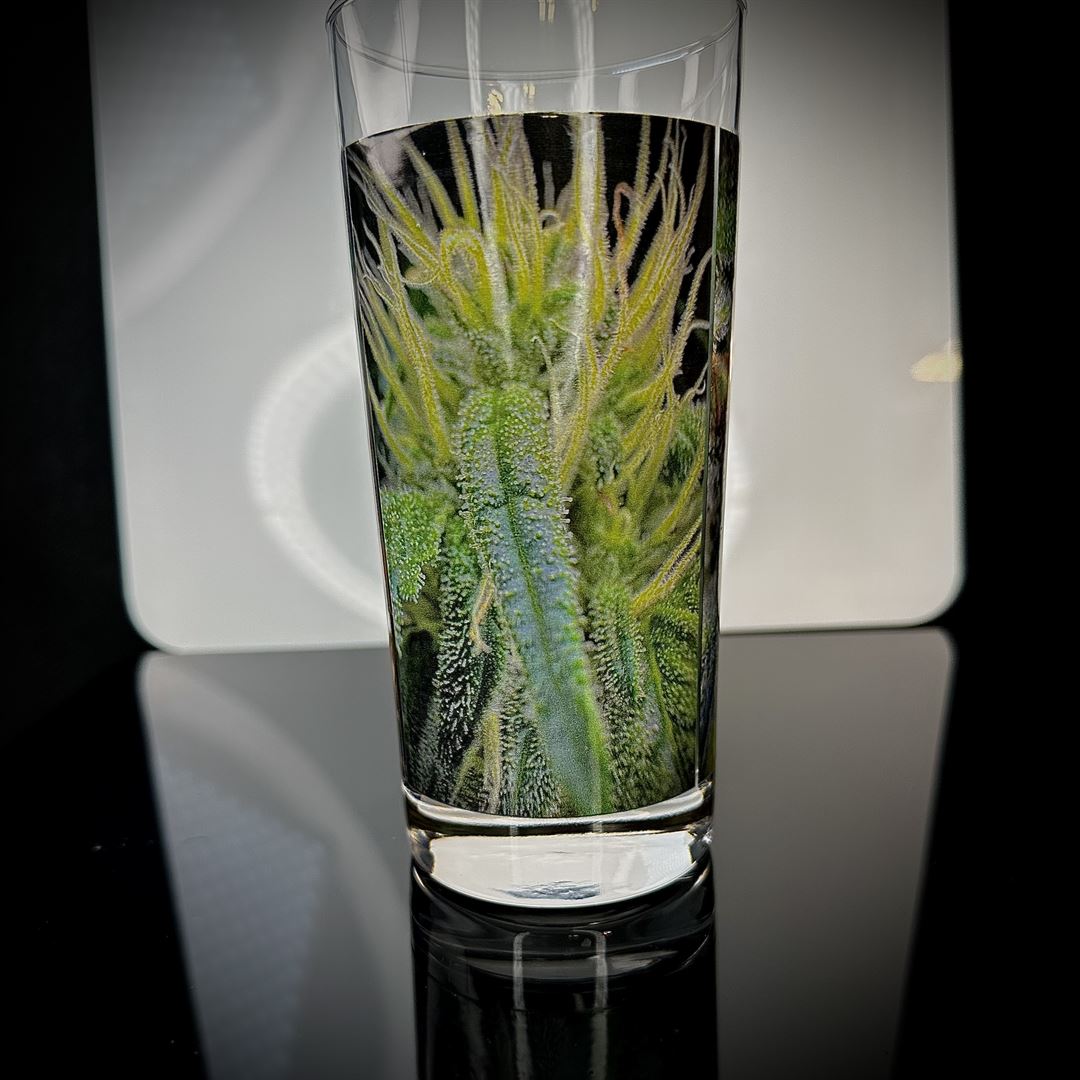 Gorilla Zkittlez Cannabis Bud Glass