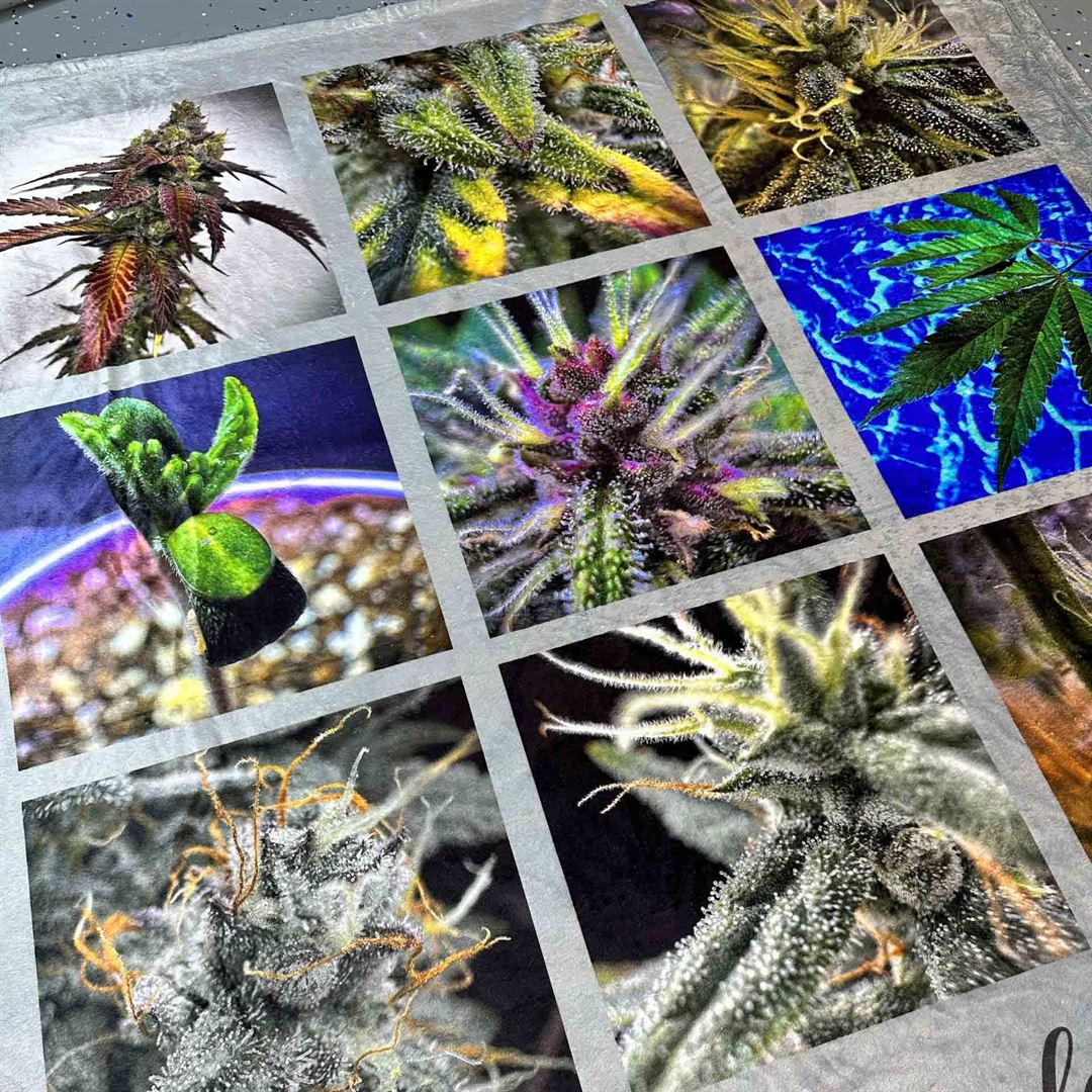 Cultivate & Cuddle Cannabis Throw