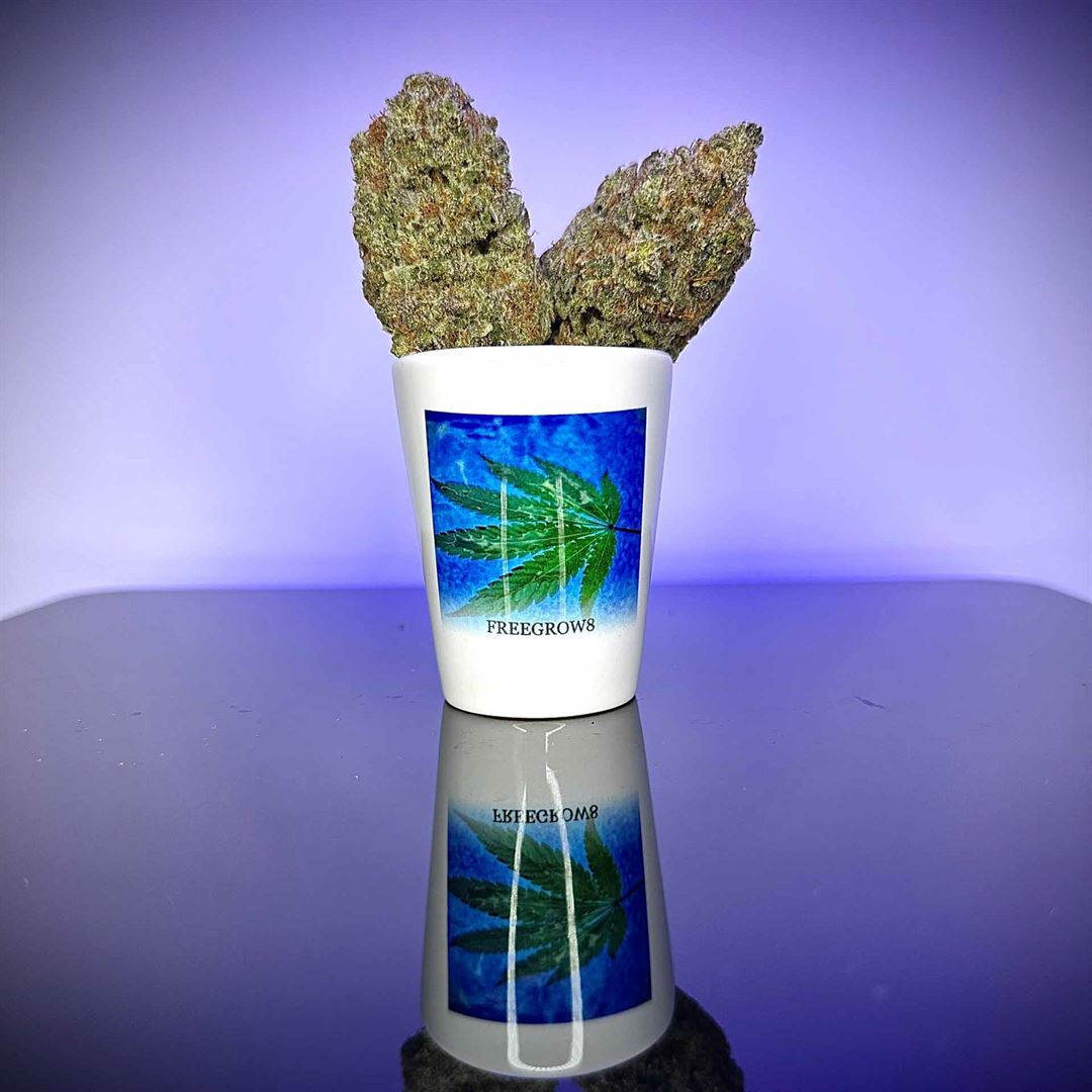 Floating Weed Leaf Close-Up Shot Glass